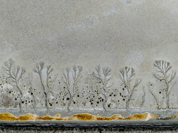 istock global climate crisis and the resulting droughtabstract tree and forest figures emerging in salt lakes, colored water such as yellow, red, green, brown, extinct species of birds and plantssalt lake and abstract photography 2194488008