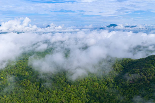 istock Beautiful mist over green forest on the mountain. 2194490707
