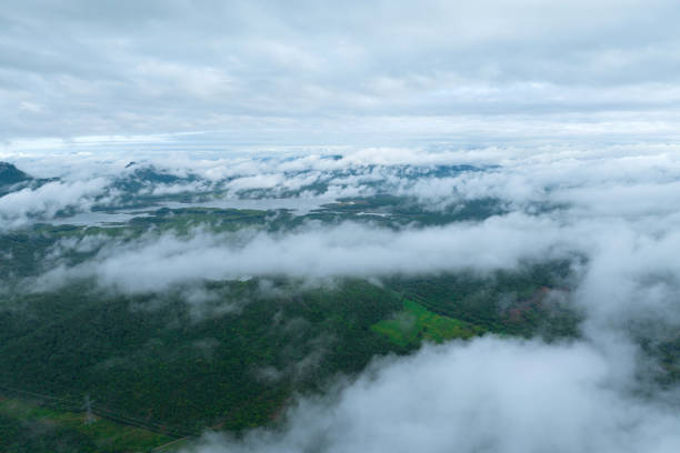 istock Beautiful mist over green forest on the mountain. 2194490769
