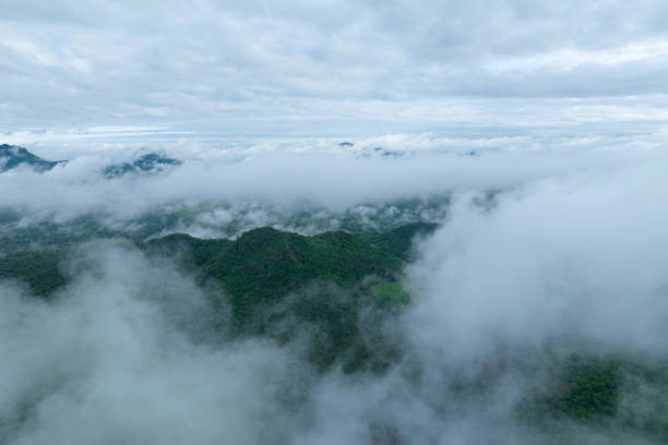 Beautiful mist over green forest on the mountain. Aerial view of the north of Thailand. Beautiful rainforest landscape with fog in the morning.