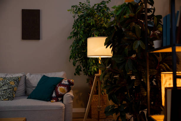 istock A Cozy Living Room Featuring a Beautiful Plant and Soft, Inviting Lighting Atmosphere 2194493084