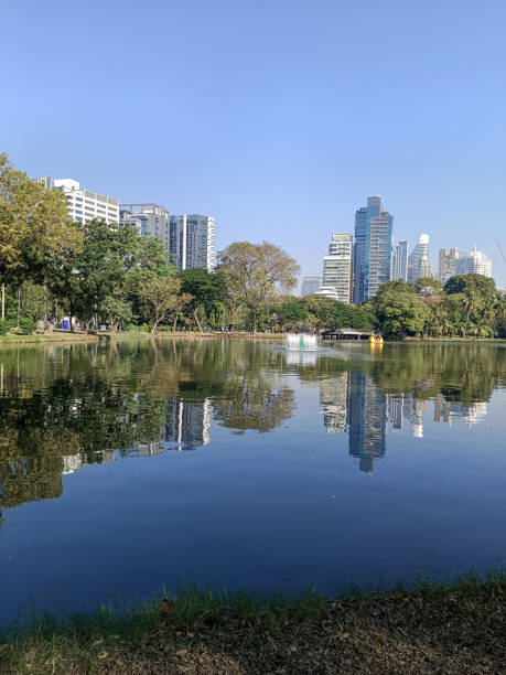 istock nice pond in the lumpini park 2194493265