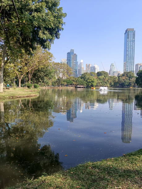 istock nice pond in the lumpini park 2194493266