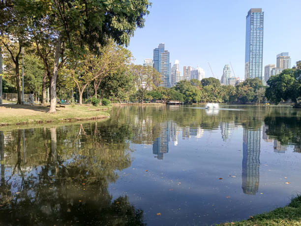istock nice pond in the lumpini park 2194493269