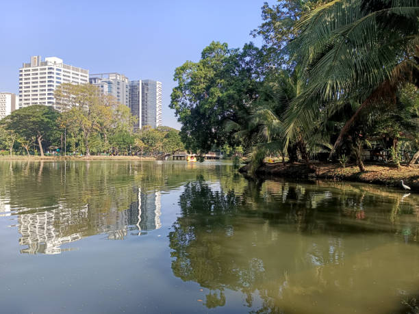istock nice pond in the lumpini park 2194493308