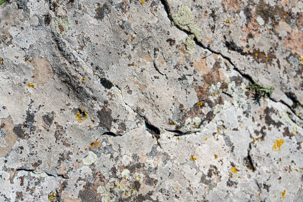 istock Textured rock background in the wild nature 2194493438