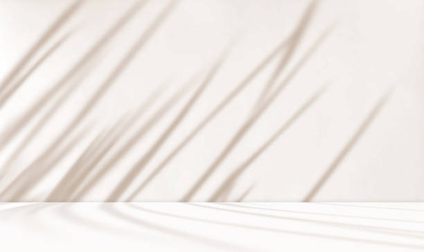 istock Empty cream beige brown room studio with shadow of glass overlay effect. 2194495015