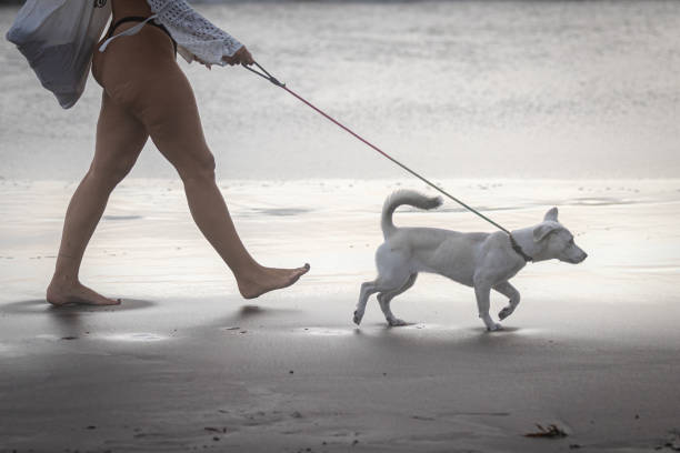 A woman is walking on sands at Canggu beach.\nBali Island - Indonesia.