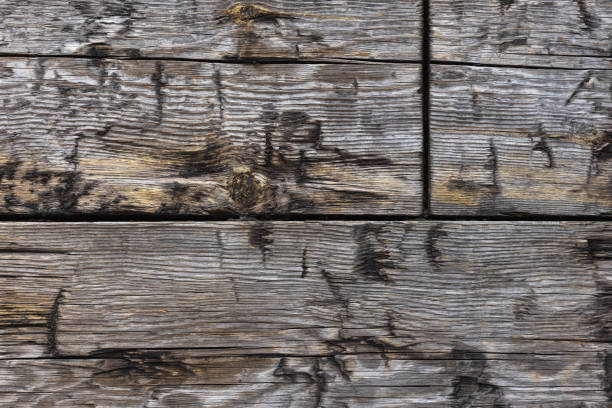Rough wooden wall with old gray boards, background photo texture