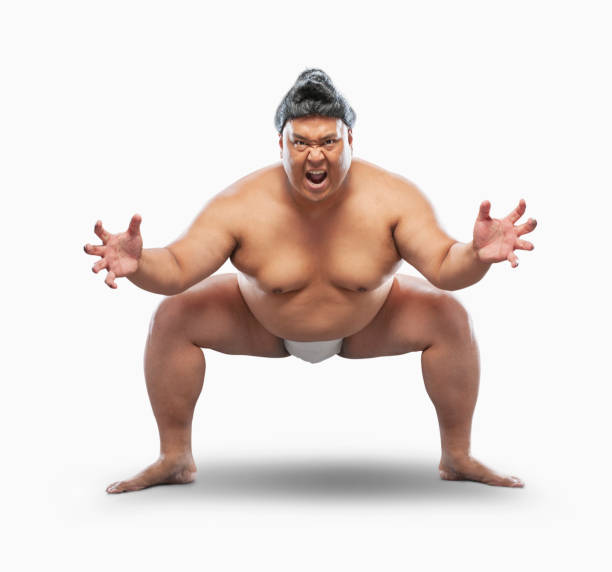 istock Sumo wrestler in fighting stance 2194502792