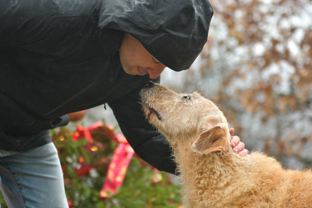 A close-up capturing the man’s face as he lovingly looks at his golden dog, who gazes back with adoration. The misty forest provides a serene backdrop to this heartfelt moment.