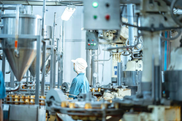 Inspector checking automated machinery in food production facility Focus on quality control safety and workflow efficiency. Worker overseeing food packaging machinery in a modern manufacturing plant.