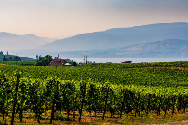 istock Okanagan Valley in Penticton in British Columbia in Canada 2194511475