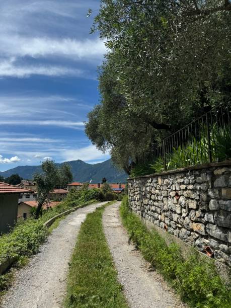 istock Trail in Bellagio Italy 2194512445