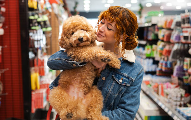 istock My dog is the cutest 2194514333