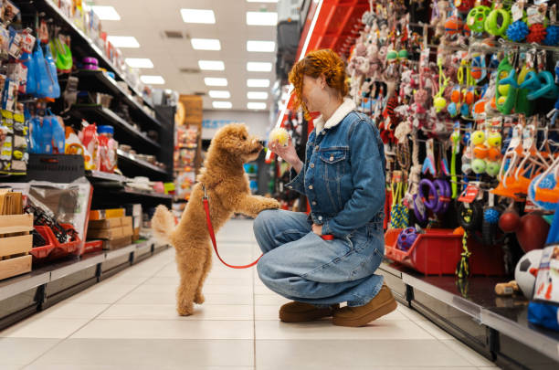 istock Redhead in a pet shop store 2194514385