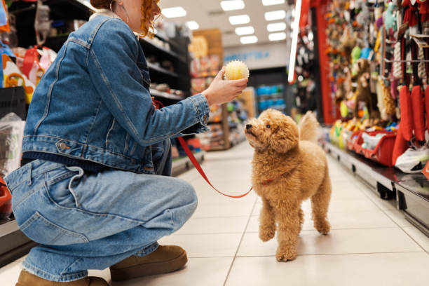 istock Having fun in a pet shop 2194515176