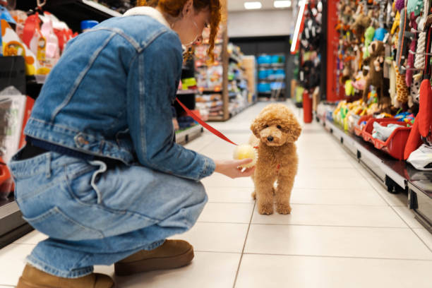 istock Having fun in a pet shop 2194515258