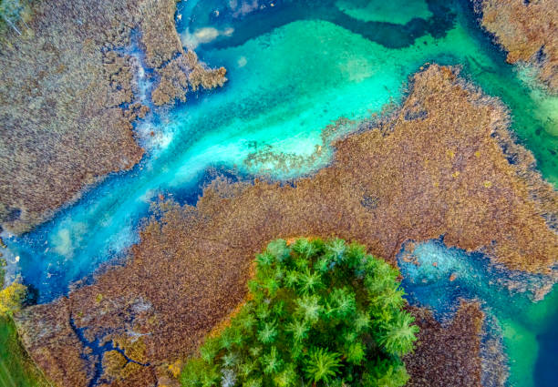 istock Oster Lakes in autumn, Bavaria, Germany 2194516886