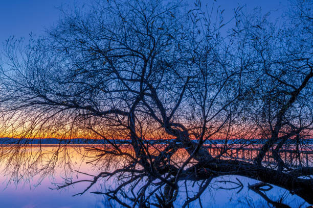 Sunset on Lake Starnberg, Fuenfseenland, Upper Bavaria, Bavaria, Germany, Europe
