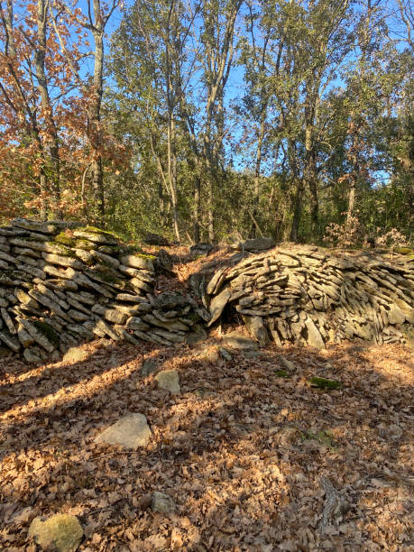 istock Ruins of stone walls 2194518632