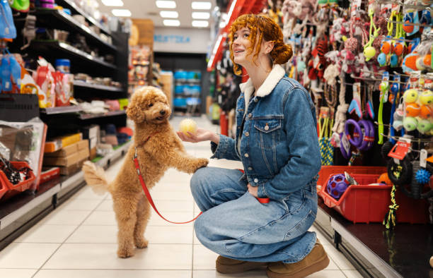 istock Redhead in a pet shop store 2194518637