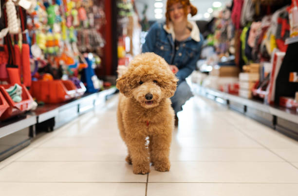 istock My best friend is my dog 2194518669