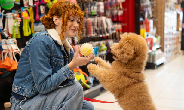 istock My best friend is my dog 2194518707