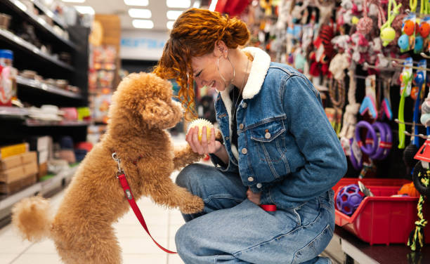istock Redhead in a pet shop store 2194518854