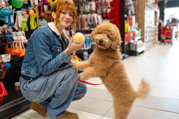 istock My best friend is my dog 2194518855