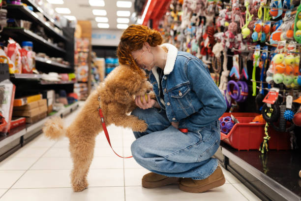 istock Redhead in a pet shop store 2194518864