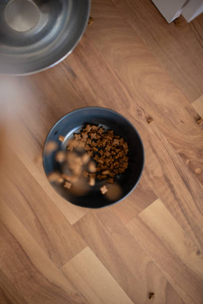 Dog croquettes in sacks and feeder on wooden table with pressed skin bones. Elevated view. Horizontal composition.