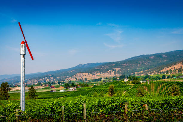 The road goes through a vineyard in the mountains on rocky terrain.