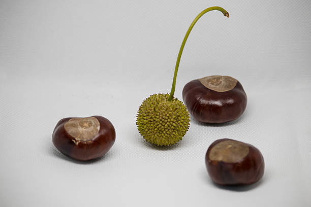 Combination of chestnuts and lychee on display
