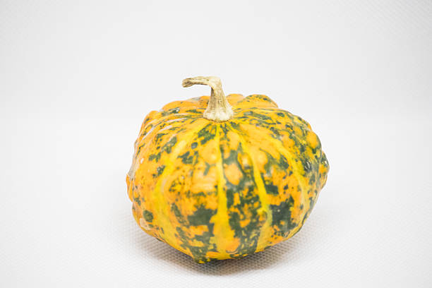Striped gourd sits on a white background.