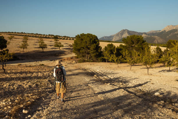 Tourist with a backpack and hat walking along a winding path in a dry landscape, surrounded by trees and distant mountains under the bright sun on a beautiful day