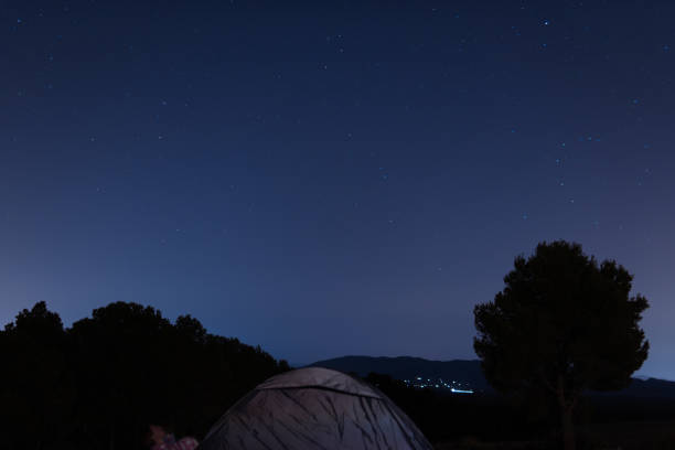 Grey camping tent resting on a field at night, surrounded by a breathtaking starry sky, with silhouettes of majestic trees and distant mountains enhancing the tranquil landscape