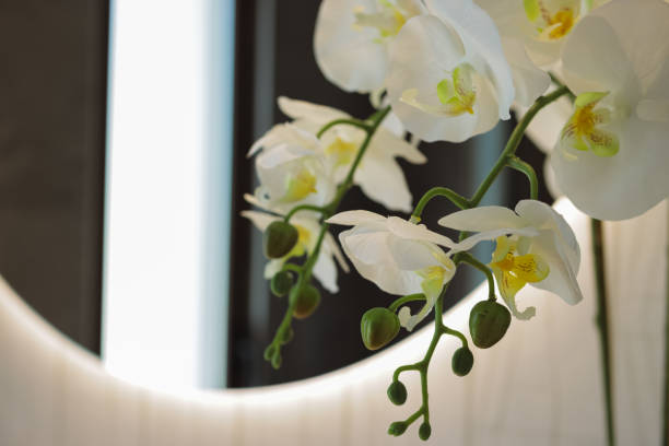 A simple  residential home professionally decorated