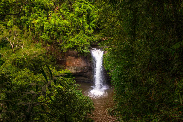 Nestled in the heart of Khao Yai National Park, Haew Su Wat Waterfall offers a breathtaking sight as crystal-clear water plunges from a height, creating a serene oasis surrounded by lush greenery. A perfect escape into natures tranquil beauty