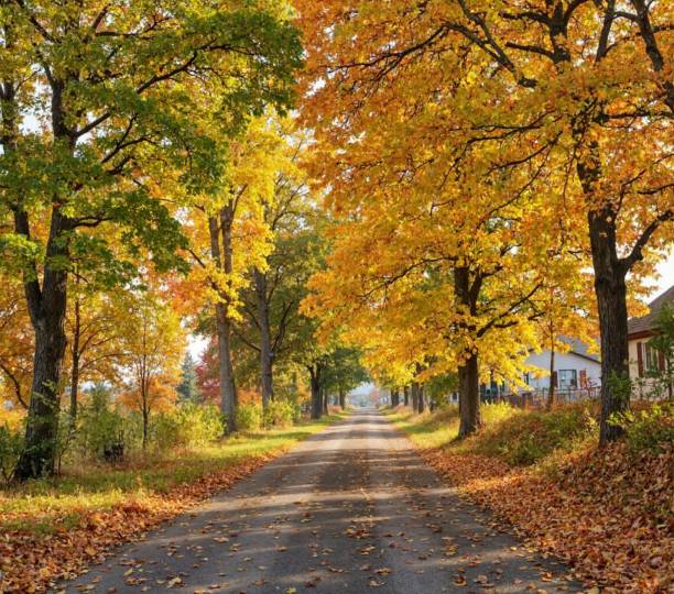 istock Autumn countryside road 2194541041