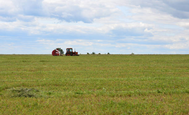 istock Hay Harvesting red tractor horizon cloudy green field 2194548041