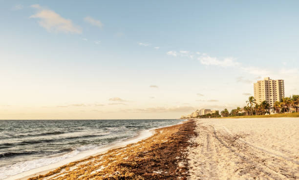istock Fort Lauderdale Beach, Florida 2194549690