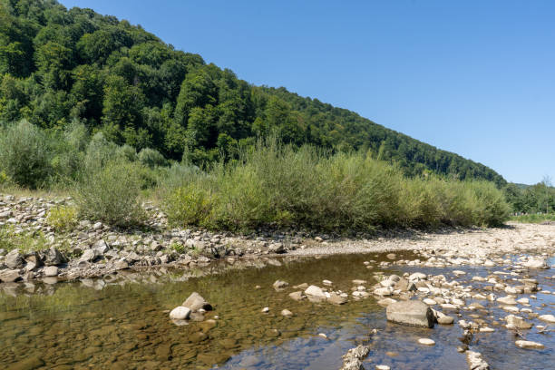 istock Mountain river. Flow of water over stones. Cascades. 2194553359
