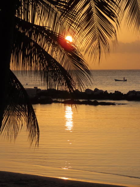 istock Sunset on a Beach in Tobago 2194553898