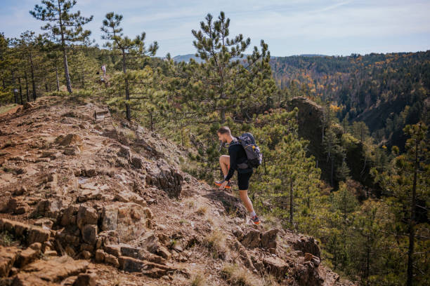 istock Climber ascends a rugged mountain trail surrounded by pine trees in a picturesque landscape on a sunny day 2194554014