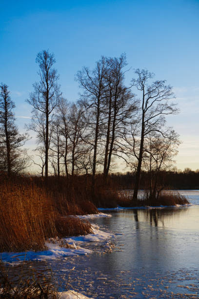 Scenic view of a lake during winter