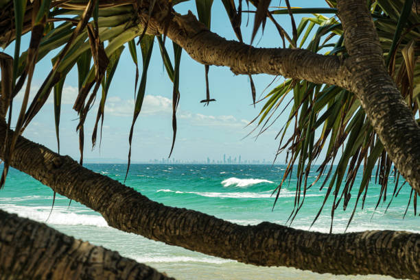 istock Surfer's Paradise in the Distance 2194558423