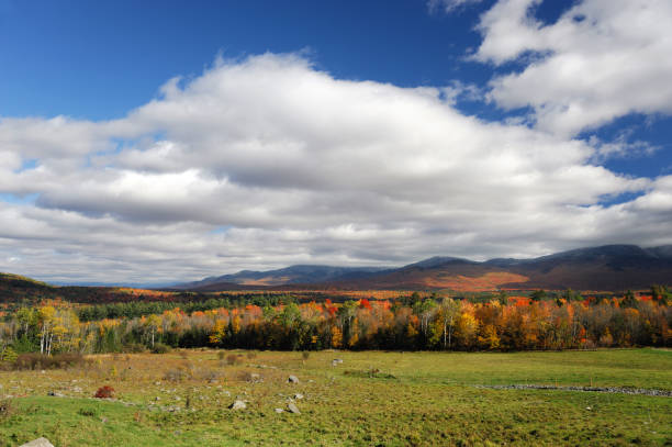 autumn mountain and colorful forest