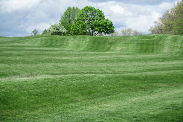 istock spring green lawn in golf course with trees and community building 2194566056