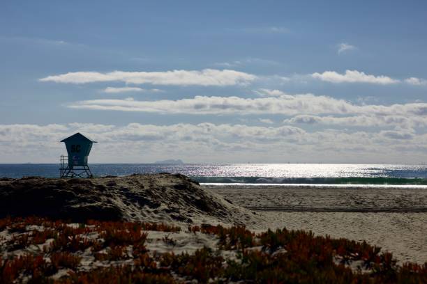 istock Multicolored ice plant on the sand dune 2194567827